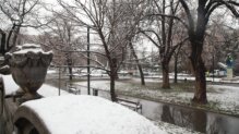 Kako izgleda prvi sneg ove godine u Beogradu? (FOTO) 9