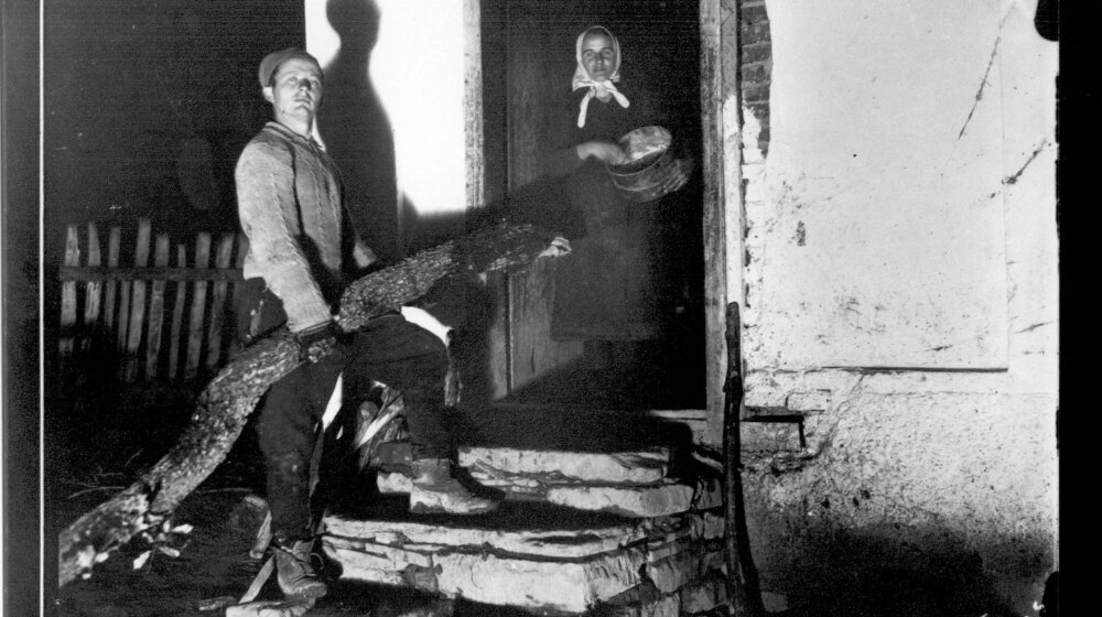 Da kajmakčina bude k’o guberčina, badnjak, badnjačica i njihovo dete: Božićni običaji u Šumadiji 1