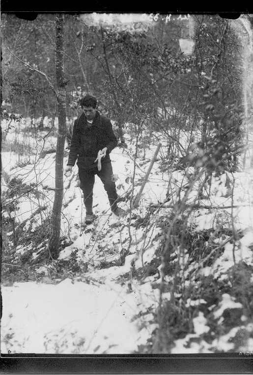Da kajmakčina bude k’o guberčina, badnjak, badnjačica i njihovo dete: Božićni običaji u Šumadiji 3