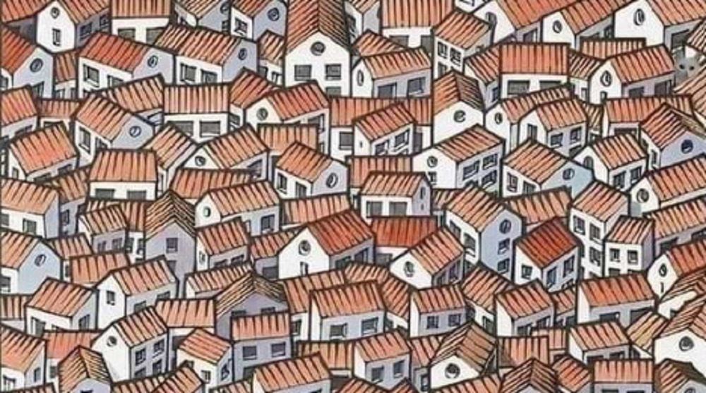 Da li uočavate znatiželjnu mačku na fotografiji? 1