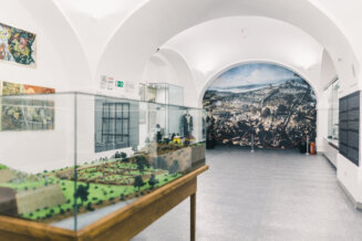 Čamac izvučen sa dna Dunava "zvezda" nove stalne postavke Muzeja grada Novog Sada 2