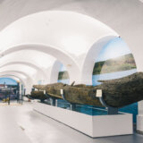 Čamac izvučen sa dna Dunava "zvezda" nove stalne postavke Muzeja grada Novog Sada 13