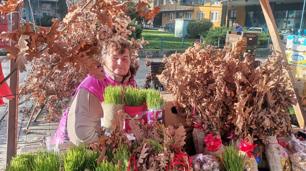 Bosa Popović iz Majura kod Šapca već čitavu deceniju prodaje badnjake: Ove godine ponuda je baš bogata, ali nema ko da pazari 1