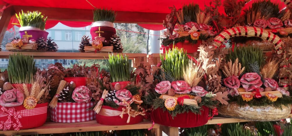 Bosa Popović iz Majura kod Šapca već čitavu deceniju prodaje badnjake: Ove godine ponuda je baš bogata, ali nema ko da pazari 4