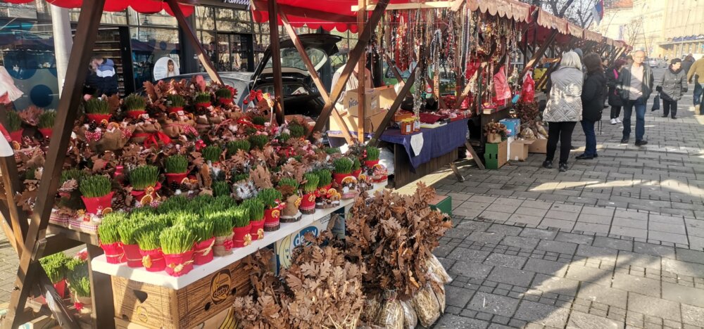 Bosa Popović iz Majura kod Šapca već čitavu deceniju prodaje badnjake: Ove godine ponuda je baš bogata, ali nema ko da pazari 2