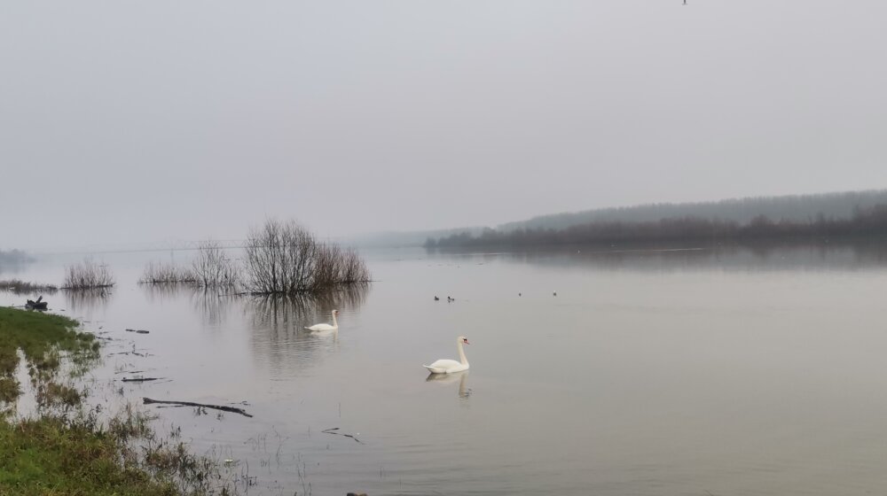 Vodostaj u porastu: Redovna odbrana od poplava biće uvedena na reci Savi kod Šapca 1