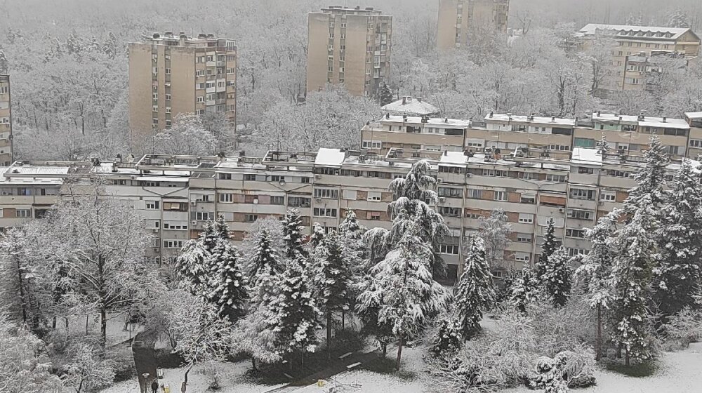 Do kada će padati sneg: Objavljena prognoza za narednih sedam dana za Srbiju 1