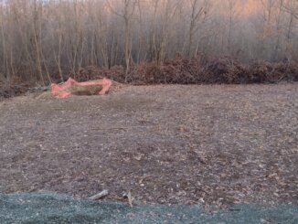 Levčani već pet meseci ne dozvoljavaju istraživanje litijuma u Rekovcu: Od hladnoće se brane "šumadijskim čajem" 5