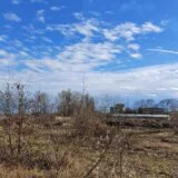 Pocrvene li nekad zelene neistine o Marini Dorćol: Autorski tekst Miše Brkića 9