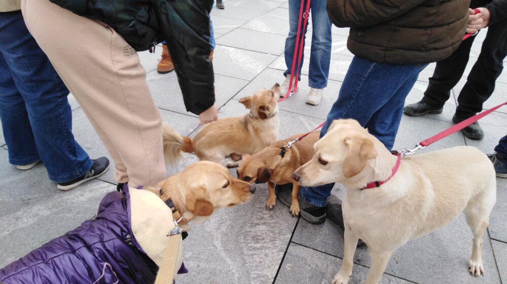Na Trgu Republike održan protest zbog zlostavljanja životinja 1
