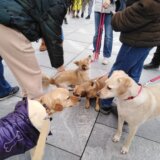 Na Trgu Republike održan protest zbog zlostavljanja životinja 9
