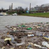 Ekološki ustanak: Nadležne službe da obaveste Beograđane šta se desilo u Čukaričkom rukavcu 4