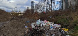 Niče divlja deponija u blizini Beogradskog sajma (FOTO) 6