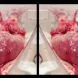 Vrooom predstavlja dva nova singla po tekstovima Minje Bogavac 4