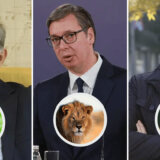 Lavovi, hijene, guske, rakuni: Na koje životinje vas asociraju srpski političari? 4