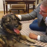 Vučićeve (meta)fore – od miša, pacova i zunzare do slona, tigra i vuka 11