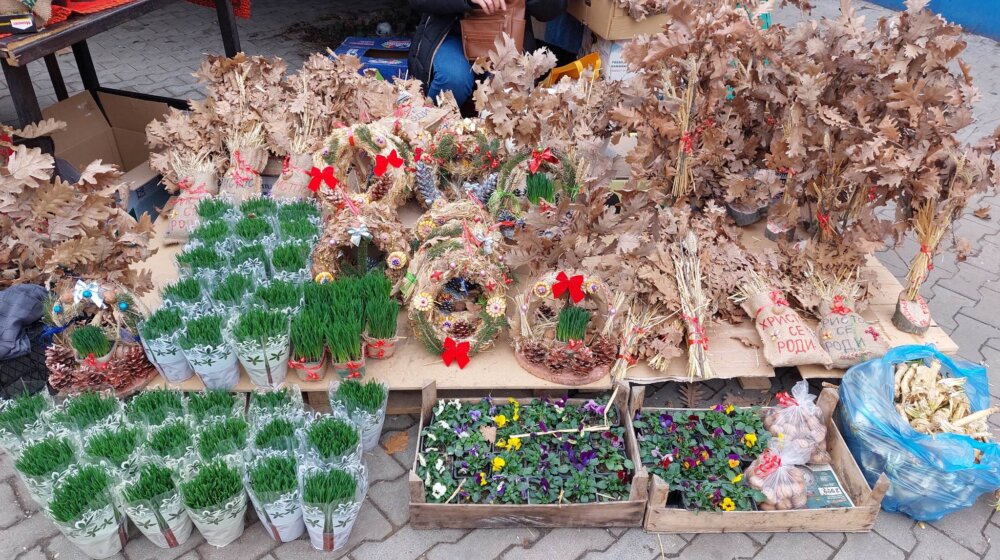 Koliko koštaju badnjaci u Srbiji: Na istoku Srbije ljudi ih i dalje seku, dok se na jugu kupuju po visokim cenama 1 Koliko koštaju badnjaci u Srbiji: Na istoku Srbije ljudi ih i dalje seku, dok se na jugu kupuju po visokim cenama 1