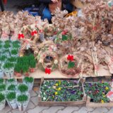 Koliko koštaju badnjaci u Srbiji: Na istoku Srbije ljudi ih i dalje seku, dok se na jugu kupuju po visokim cenama 4