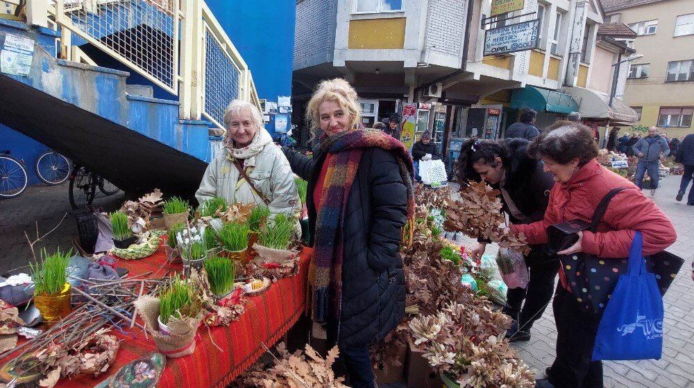“Bolje badnjak da kupim na pijaci za 100 dinara, nego da me inspekcija juri kao da sam isekao kubik drva”: Badnji dan na zaječarskoj pijaci 1