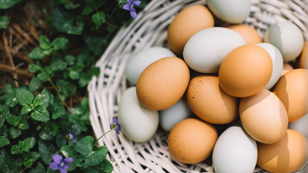 Da li znate koja je razlika između smeđih i belih jaja? 1