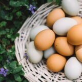 Da li znate koja je razlika između smeđih i belih jaja? 11