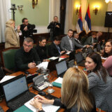 Usijana atmosfera: Naprednjaci predložili da se odbor ogradi od napada na Vučićevu porodicu, opozicija pita gde je tu ekologija 6