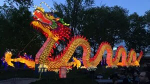 Vlada Srbije najavljuje obeležavanje kineske nove godine 9 Vlada Srbije najavljuje obeležavanje kineske nove godine 6