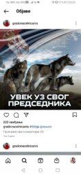 Da li su svi niški funkcioneri SNS fotografijom vukova podržali Aleksandra Vučića 2