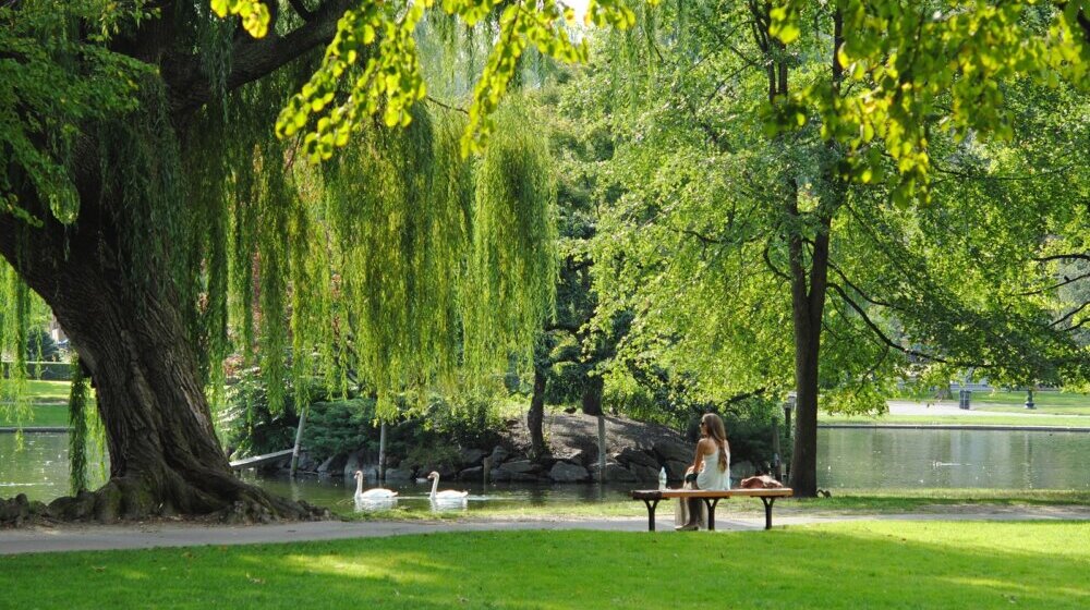 Poseta zelenim površinama može smanjiti potrebu za lekovima 1