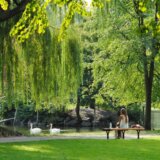 Poseta zelenim površinama može smanjiti potrebu za lekovima 2