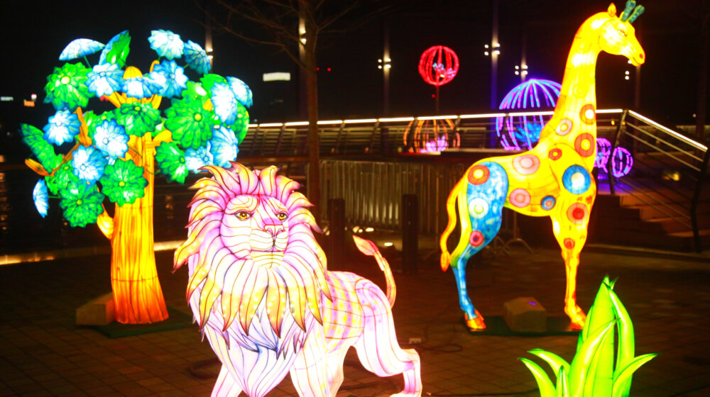 Festival svetla do 5. februara u Beogradu i Novom Sadu 1