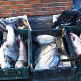 Porasle cene proizvoda poljoprivrede i ribarstva 2