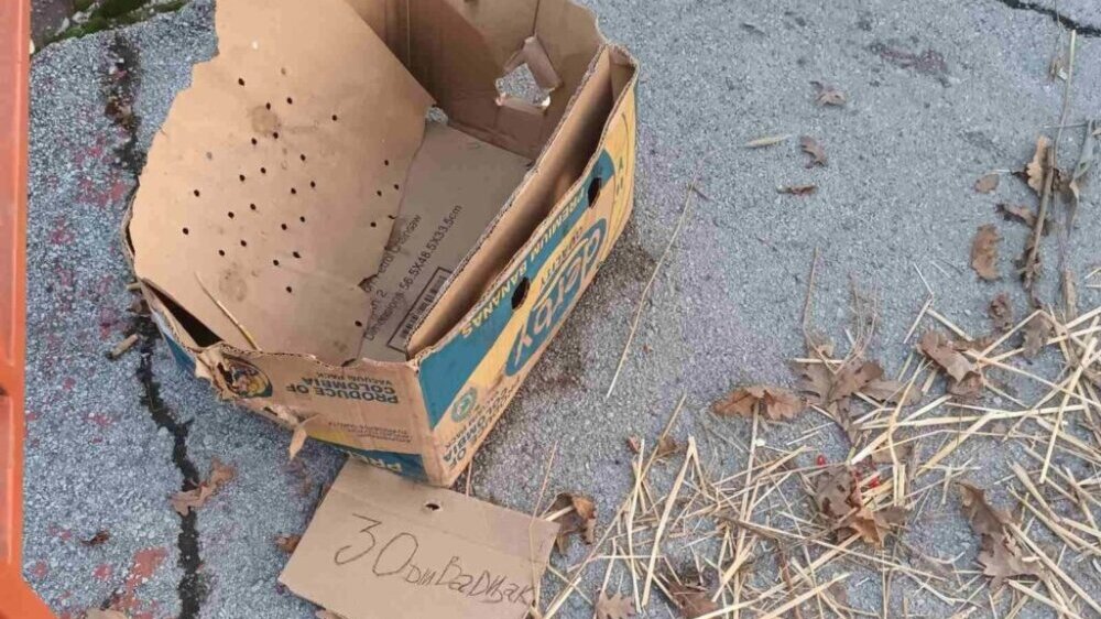 Na leskovačkom mostu preko Veternice od Badnje večeri ima smeća 2