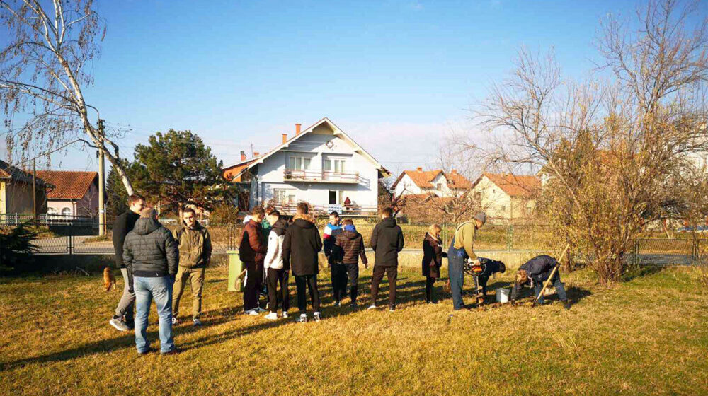 U akciji “Posadi svoj hlad” Kladovo dobilo sadnice crvenolisnog hrasta 1