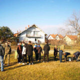 U akciji “Posadi svoj hlad” Kladovo dobilo sadnice crvenolisnog hrasta 14