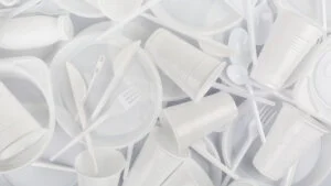 EU zabranjuje jednokratnu plastičnu ambalažu: Velike promene za restorane, kafiće i hotele 10 EU zabranjuje jednokratnu plastičnu ambalažu: Velike promene za restorane, kafiće i hotele 6