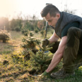 Kako posaditi i negovati jelku: Vodič za sadnju u četiri koraka 2