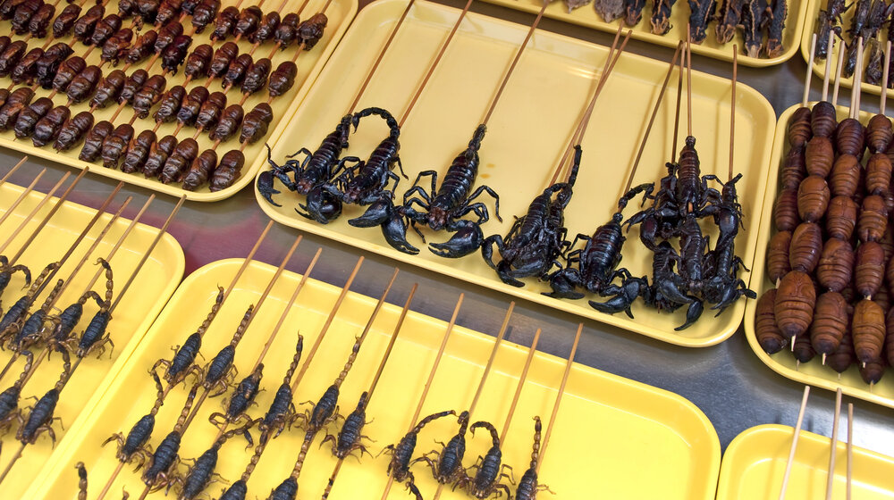 "Mravi podsećaju na sirće, termiti na šargarepu": Koji insekti su jestivi, kakvog su ukusa i zašto je dobro konzumirati ih? 1