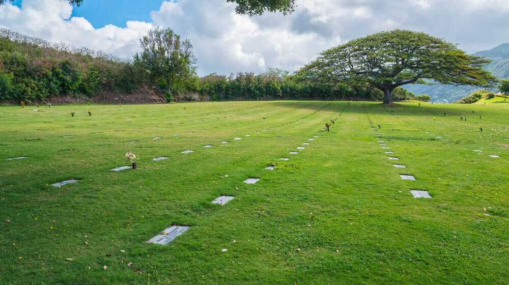 Vlasnica pogrebne kuće u SAD osuđena na 20 godina zatvora zbog prodaje delova tela preminulih 1