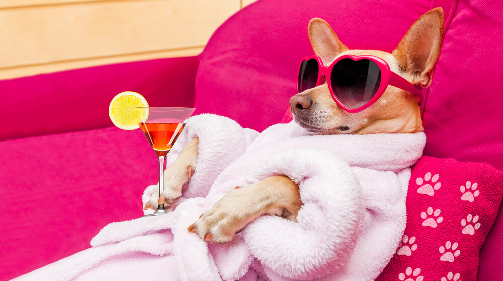 Ko "hvata zjale" i zašto se tako kaže? 1