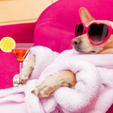 Ko "hvata zjale" i zašto se tako kaže? 2