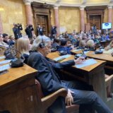 Kako po Lutovcu izgleda javno slušanje o promeni Ustava Srbije 8
