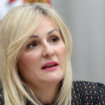 Paunović (SPS): Pre praznika bi moglo biti poznato ko će biti u novoj Vladi Srbije 12
