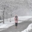 U Nišu 15 stepeni, u Beogradu pada sneg: U ovim mestima se očekuje veća količina padavina 16