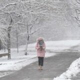 U Nišu 15 stepeni, u Beogradu pada sneg: U ovim mestima se očekuje veća količina padavina 5