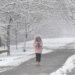 U Nišu 15 stepeni, u Beogradu pada sneg: U ovim mestima se očekuje veća količina padavina 6