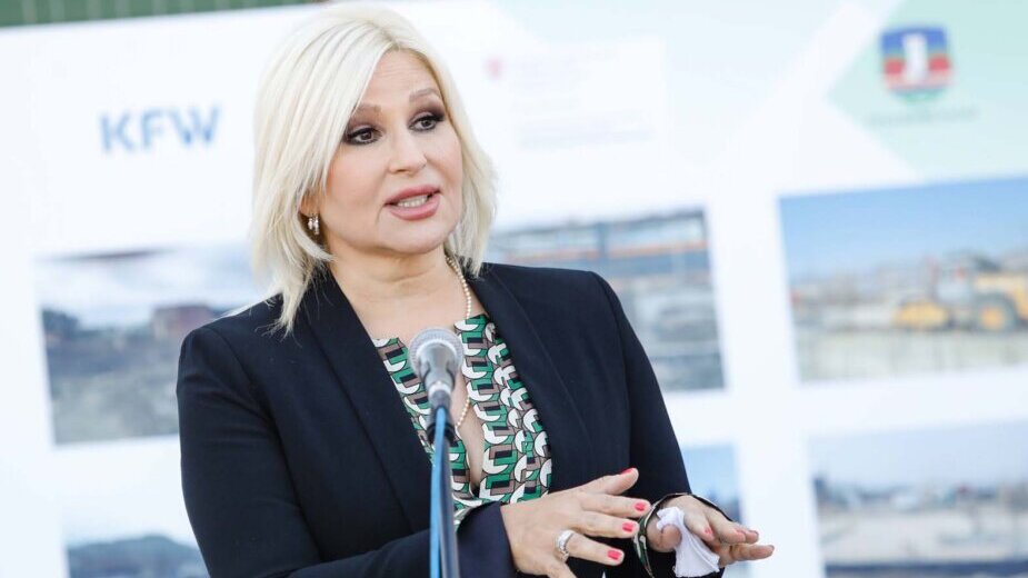 Rodoljub Šabić: I držanje i ton i rečnik premijerke Brnabić skandalozni 3 Rodoljub Šabić: I držanje i ton i rečnik premijerke Brnabić skandalozni 3