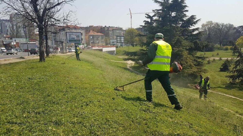Da li je formiranje paralelnog preduzeća za brigu o parkovima dovelo do urušavanja JKP "Zelenilo Beograd"? 10