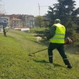 Da li je formiranje paralelnog preduzeća za brigu o parkovima dovelo do urušavanja JKP "Zelenilo Beograd"? 3