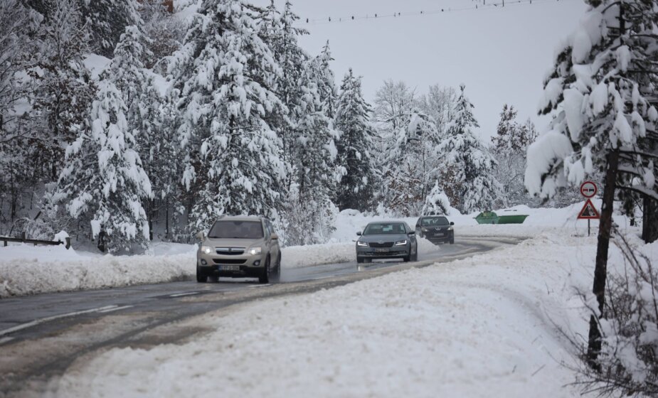 JP Putevi Srbije: U mestu Koznica došlo do zastoja u saobraćaju, ekipe rade na uklanjanju drveća sa kolovoza 1